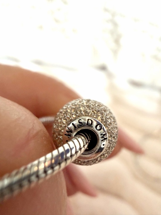 RARE❗️ Retired PANDORA ESSENCE Set of 2 Bracelets & 4 Charms - Picture 12 of 17